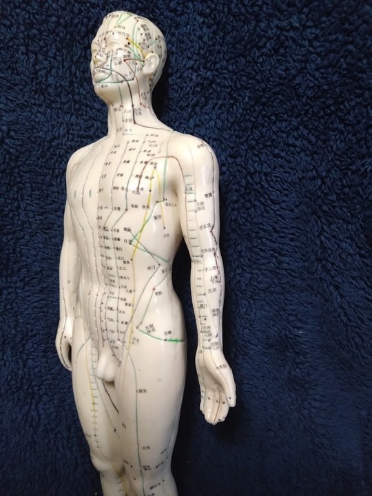 鍼灸(経絡治療) - 町田市の鍼灸院・整体院 はり・きゅう・マッサージ